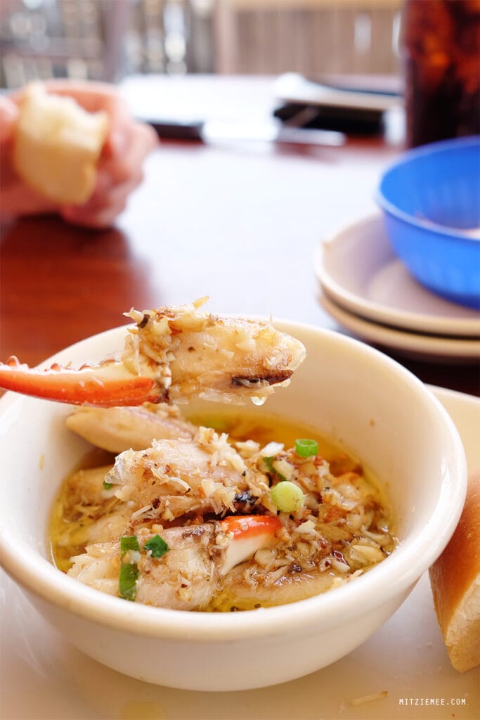 Fort Lauderdale: Scoobies im Coconuts