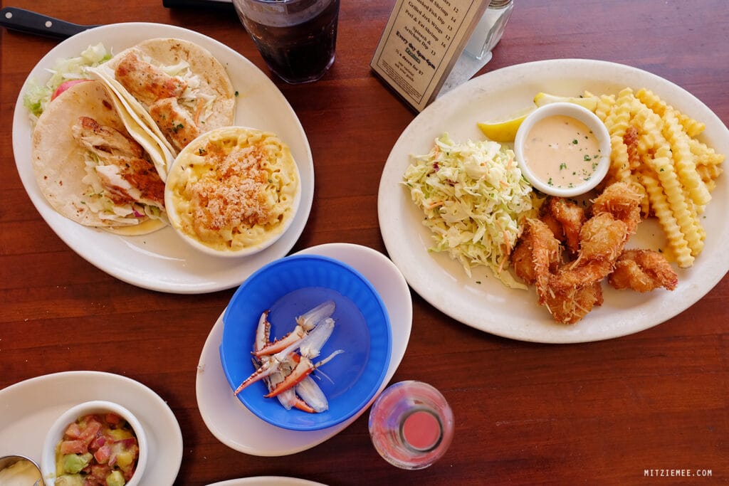 Fort Lauderdale: Scoobies im Coconuts