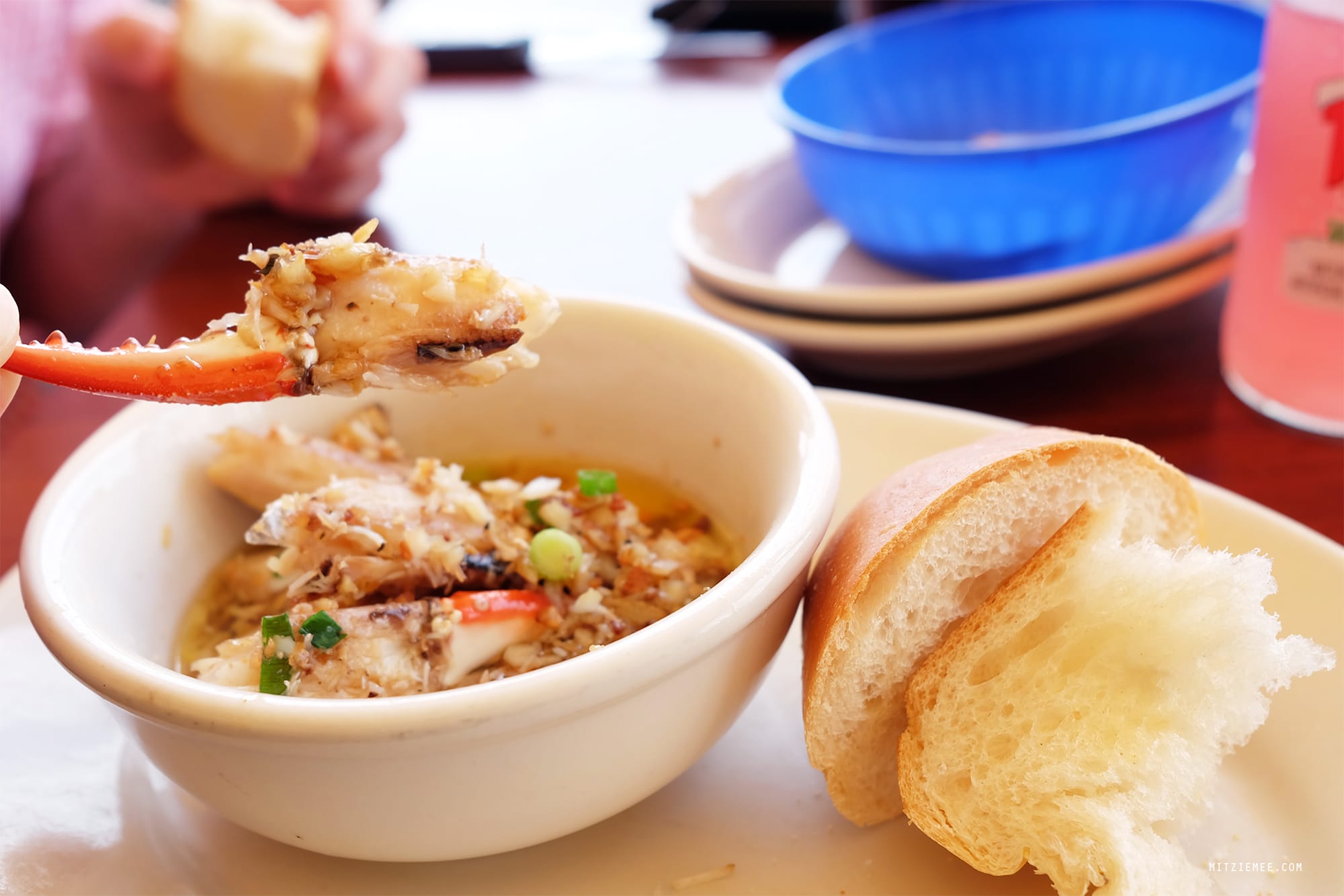 Fort Lauderdale: Scoobies im Coconuts