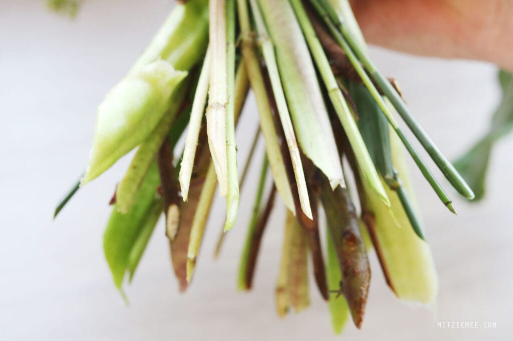Besuch im Blumen-shop - Gardenia in Fredericia
