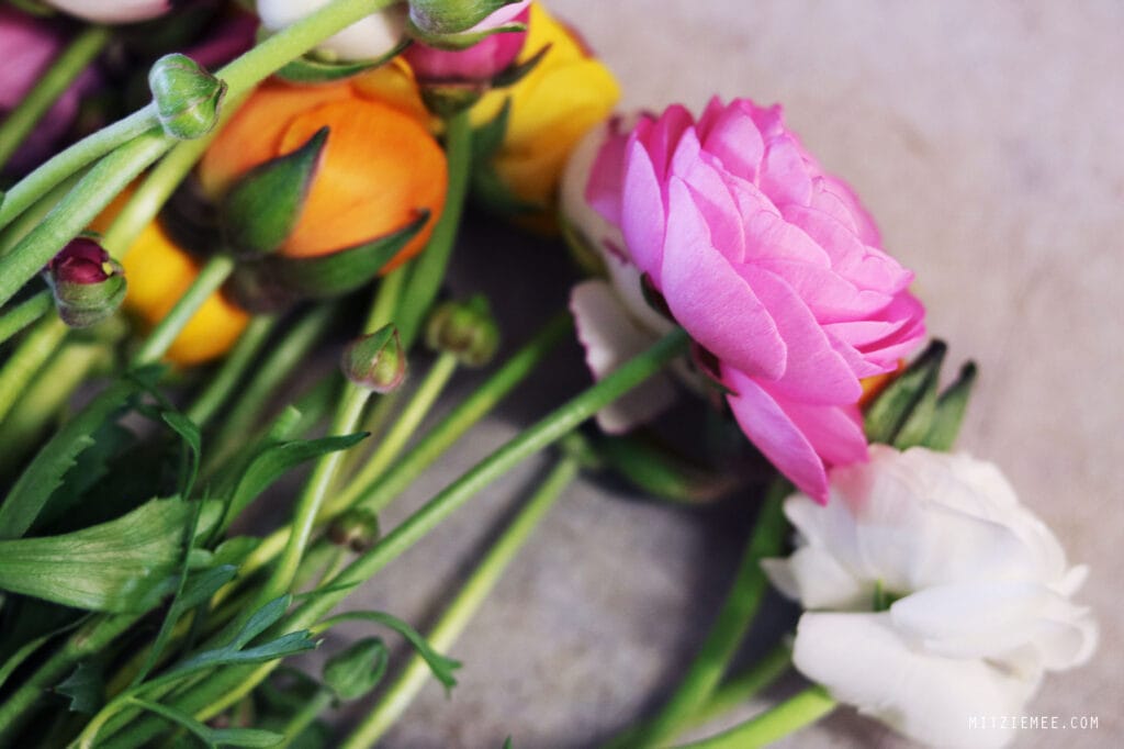 Besuch im Blumen-shop - Gardenia in Fredericia
