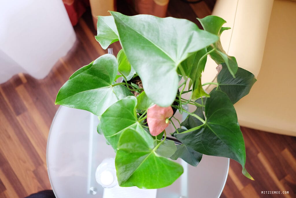 Zürich Hotels: Mein Aufenthalt im Glockenhof