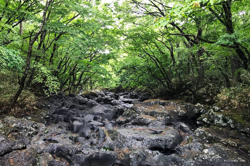 Jeju Island: Hallasan für Anfänger