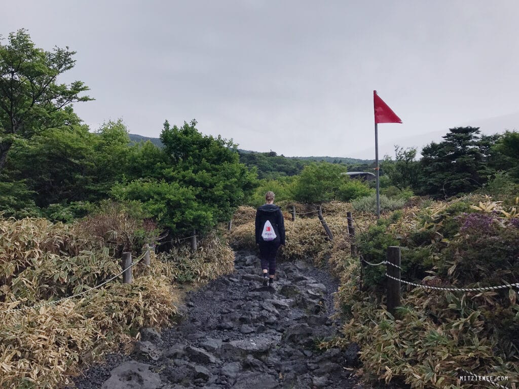 Jeju Island: Hallasan für Anfänger