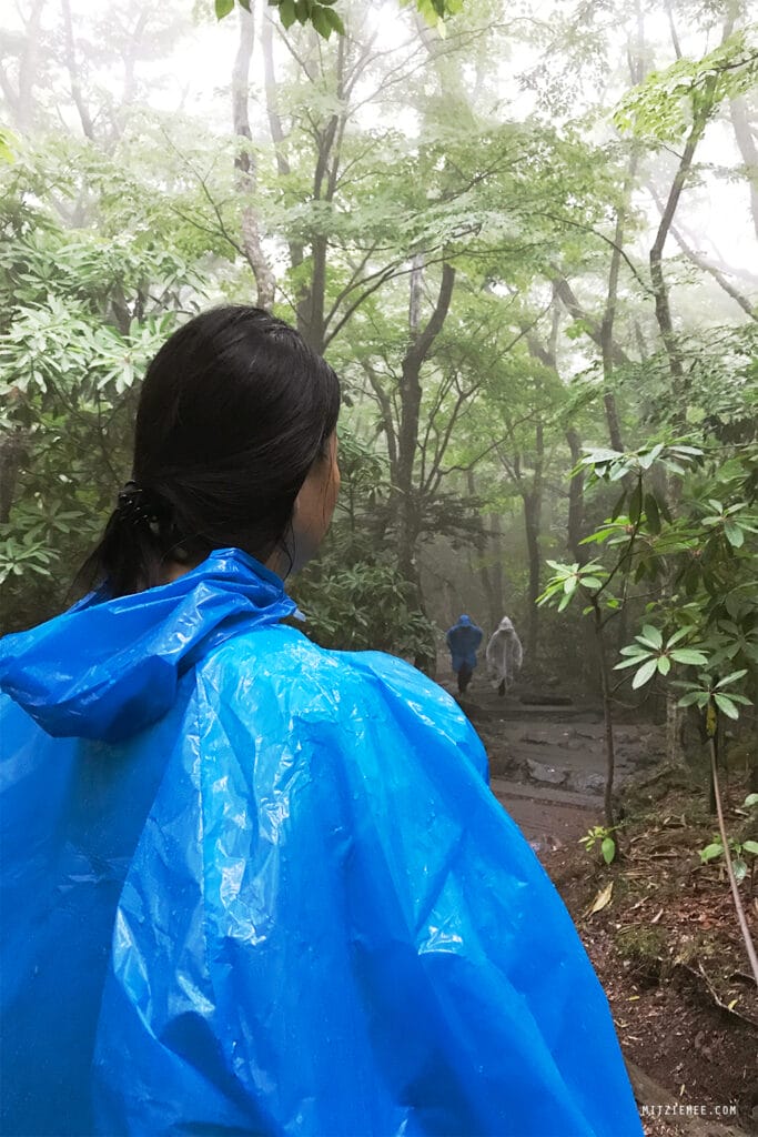 Jeju Island: Hallasan für Anfänger