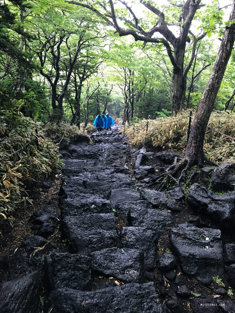 Jeju Island: Hallasan für Anfänger