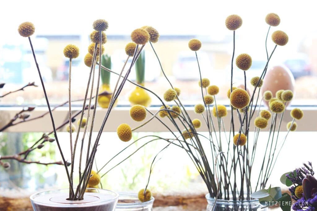 Besuch im Blumen-shop