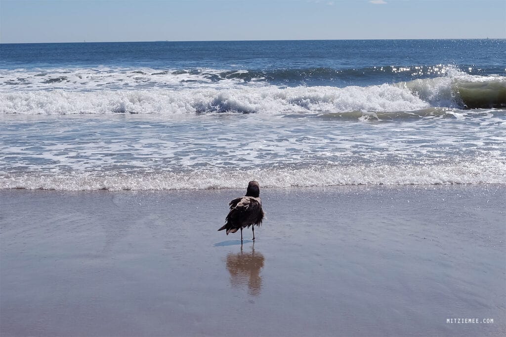 New York: Rockaway Beach – Samstag in der Sonne
