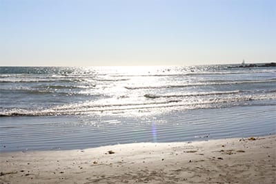 Ein guide zum Venice Beach