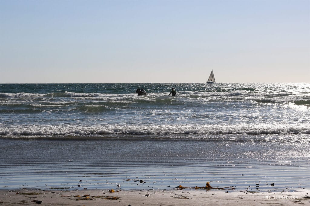 Ein guide zum Venice Beach