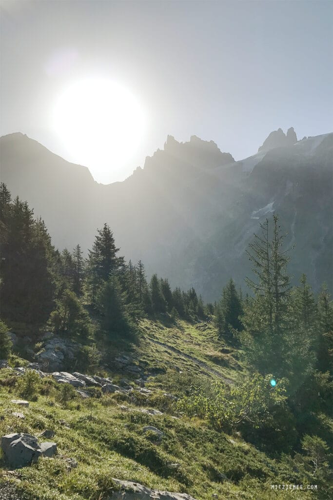 Engelberg: Fürenalp Morgendwanderung - Grotzliweg