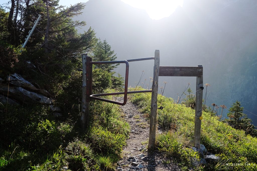 Engelberg: Fürenalp Morgendwanderung - Grotzliweg