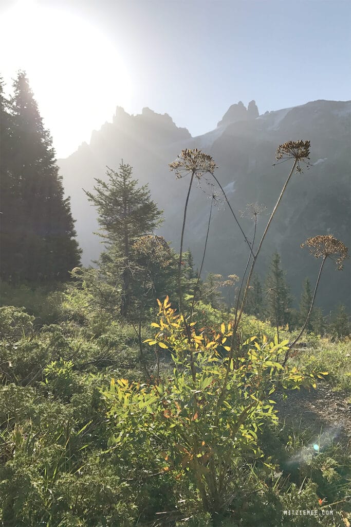 Engelberg: Fürenalp Morgendwanderung - Grotzliweg