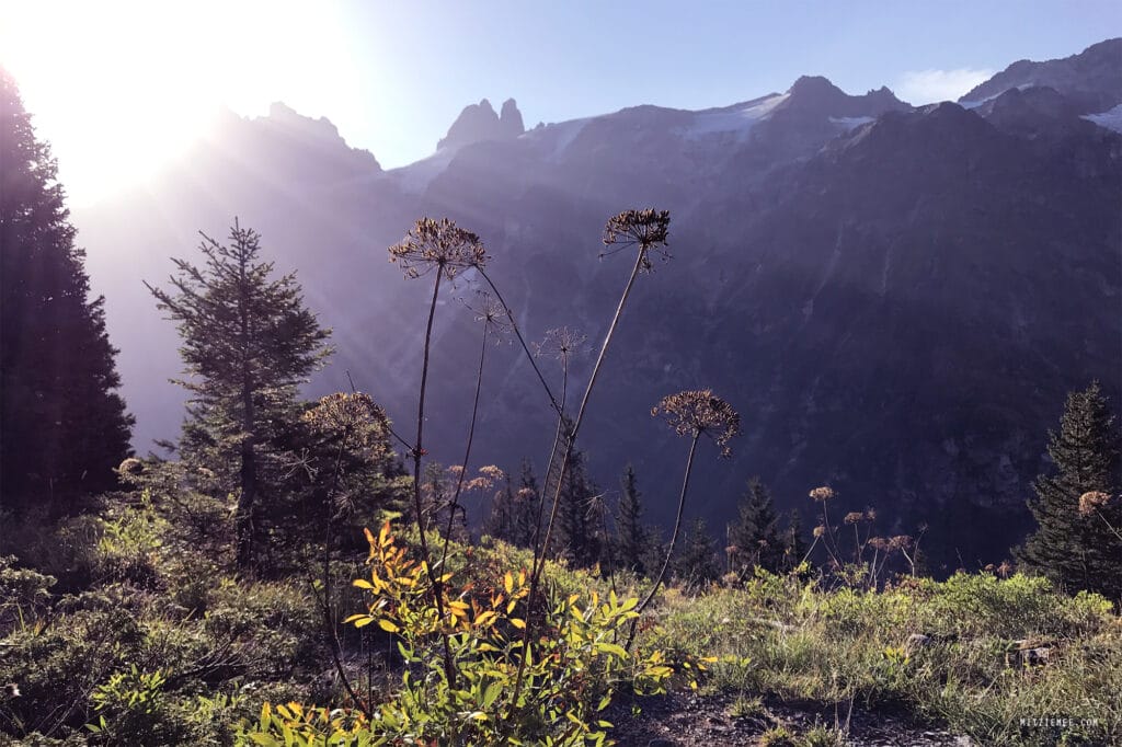 Engelberg: Fürenalp Morgendwanderung - Grotzliweg