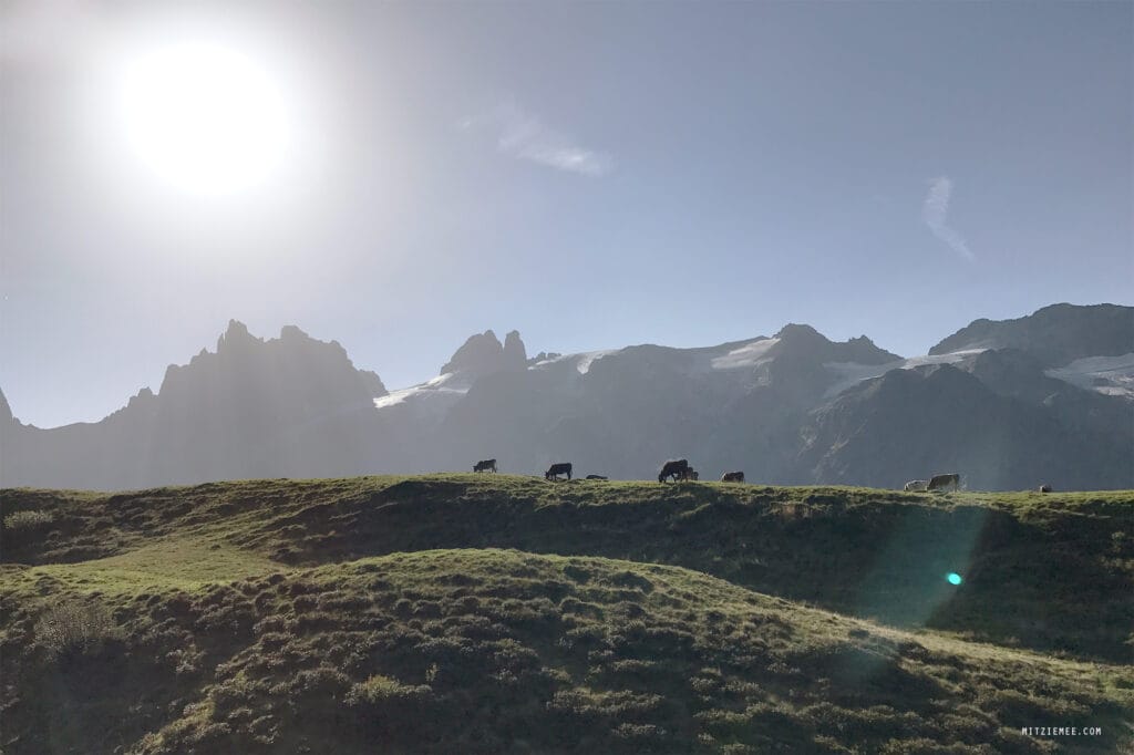Engelberg: Fürenalp Morgendwanderung - Grotzliweg