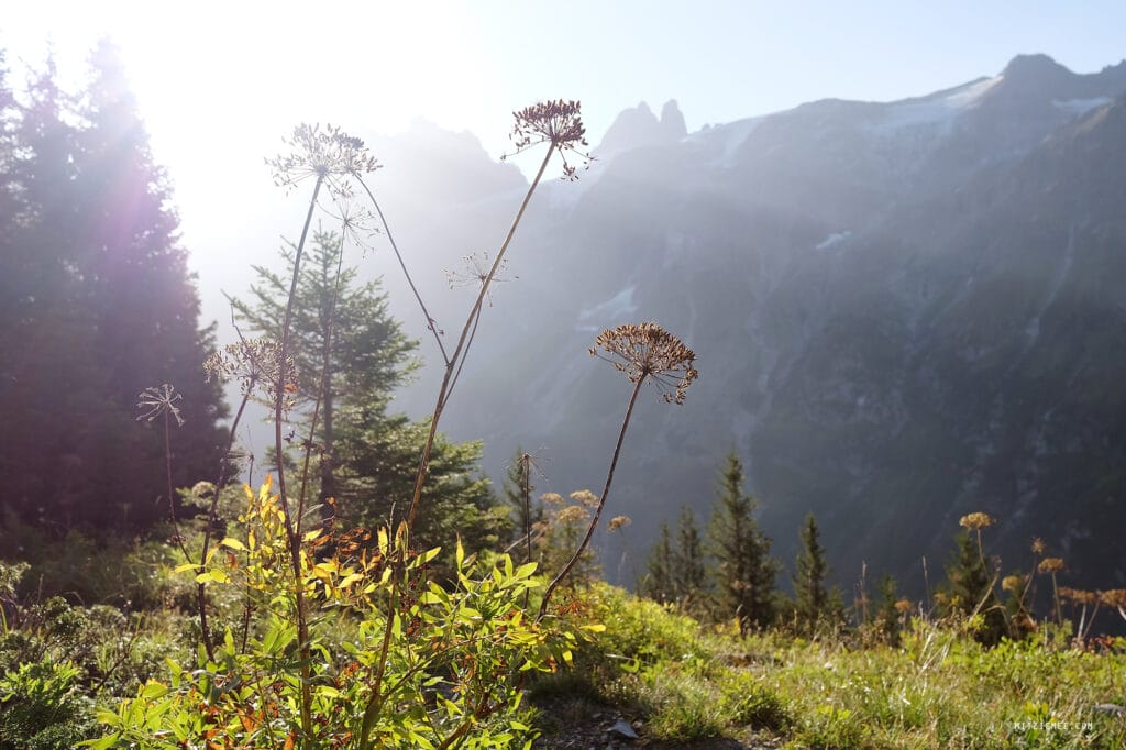 Engelberg: Fürenalp Morgendwanderung - Grotzliweg