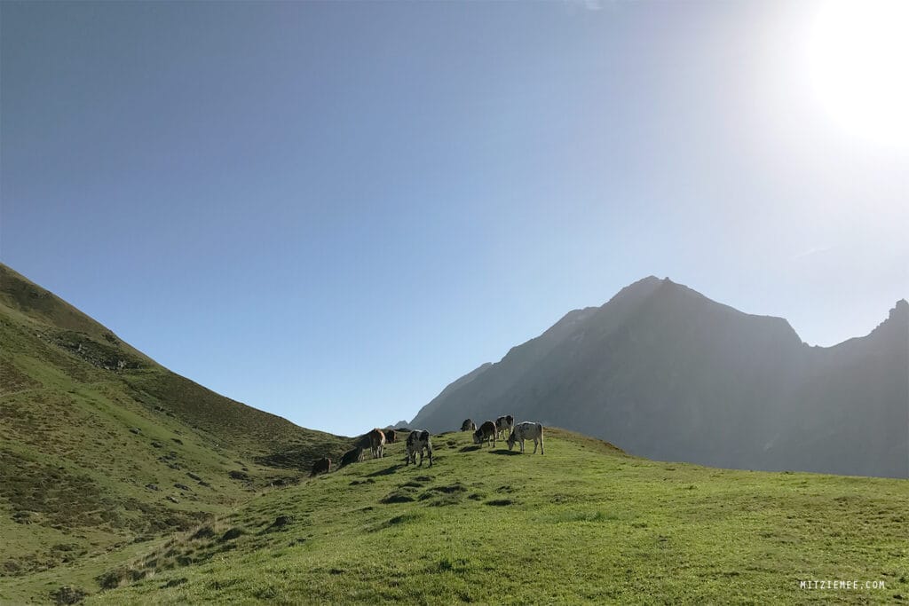 Engelberg: Fürenalp Morgendwanderung - Grotzliweg