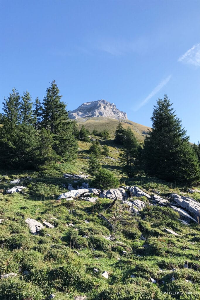 Engelberg: Fürenalp Morgendwanderung - Grotzliweg