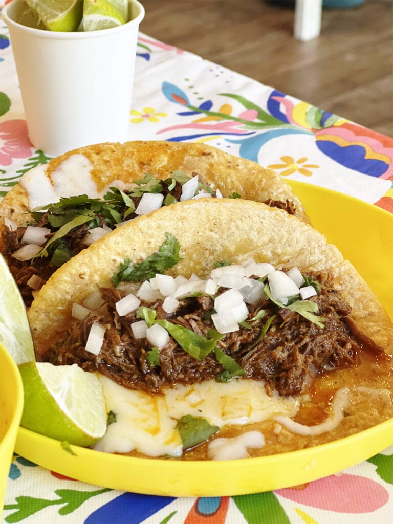 Chofi Taco in Union City - Zum ersten Mal Birria Tacos probieren