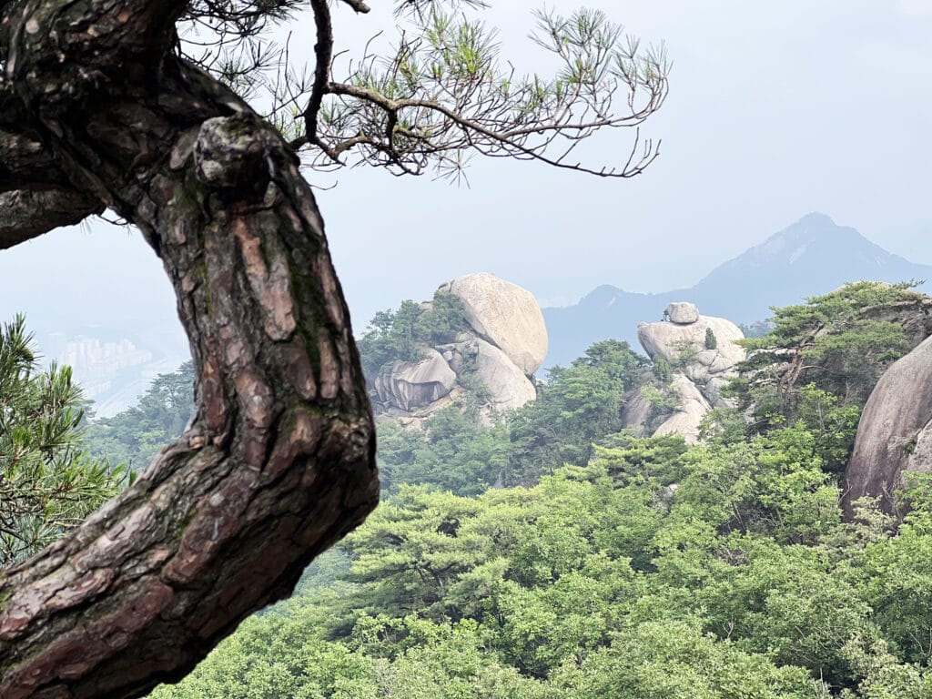 Seoul: Suraksan - Eine Wanderung zum Gipfel