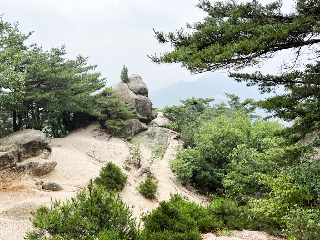 Seoul: Suraksan - Eine Wanderung zum Gipfel