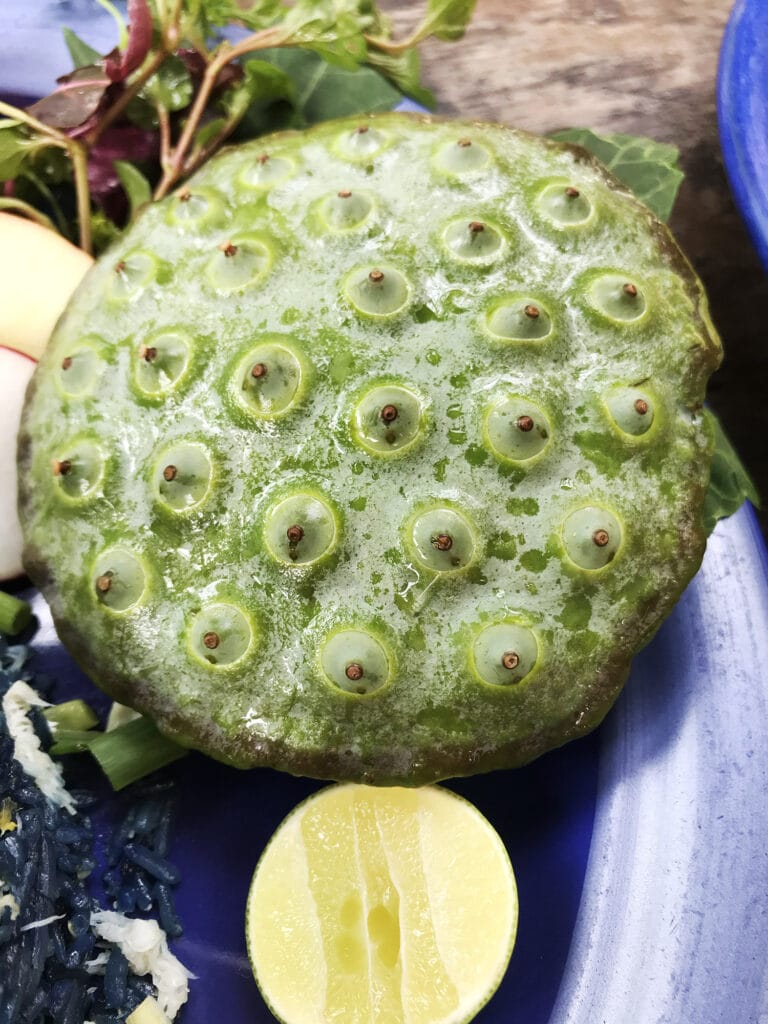 Chiang Mai - Mittagessen bei Meena Rice Based Cuisine