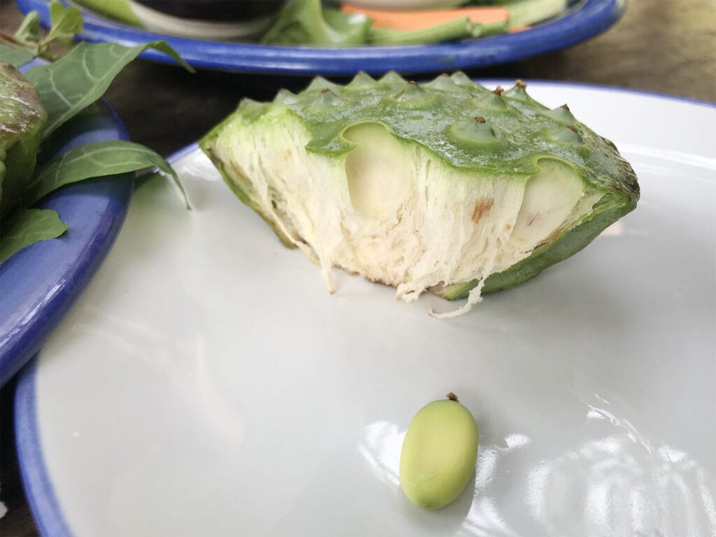 Chiang Mai - Mittagessen bei Meena Rice Based Cuisine