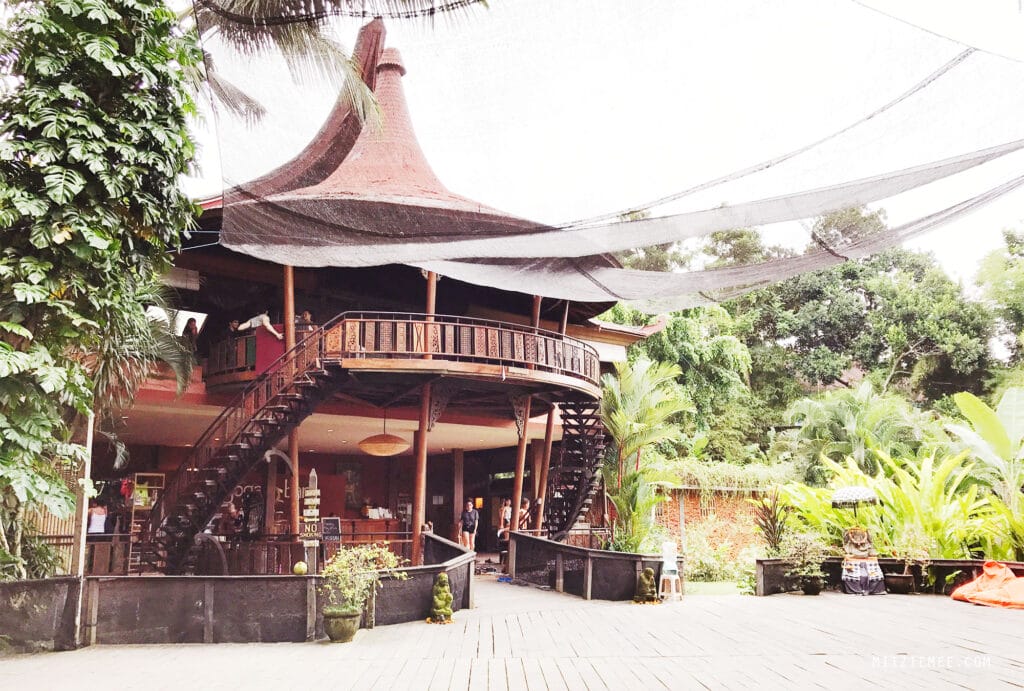 Bali: Yoga Barn in Ubud – Alles, was Sie wissen müssen