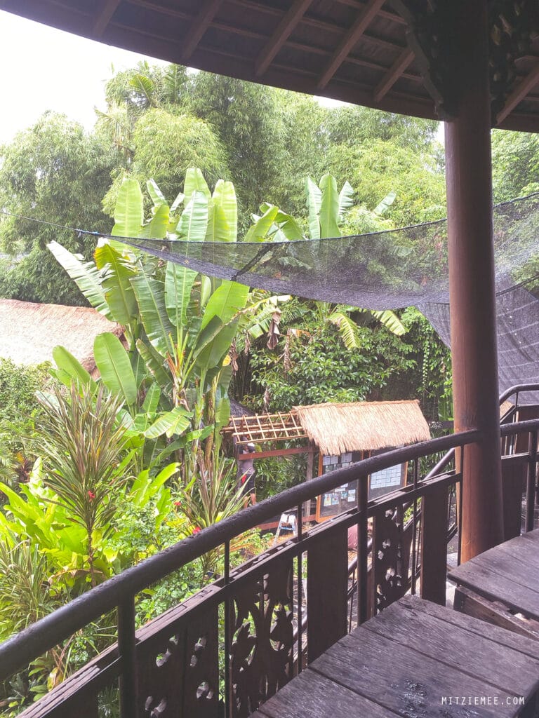 Bali: Yoga Barn in Ubud – Alles, was Sie wissen müssen