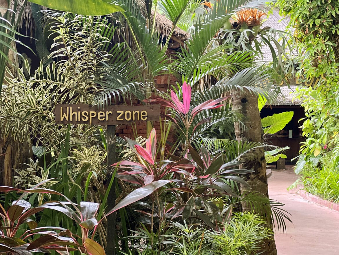 Zurück in Bali – Ubud & Yoga Barn