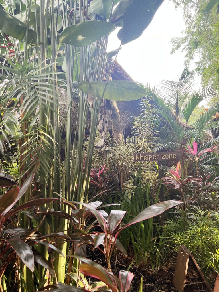 Zurück in Bali – Ubud & Yoga Barn