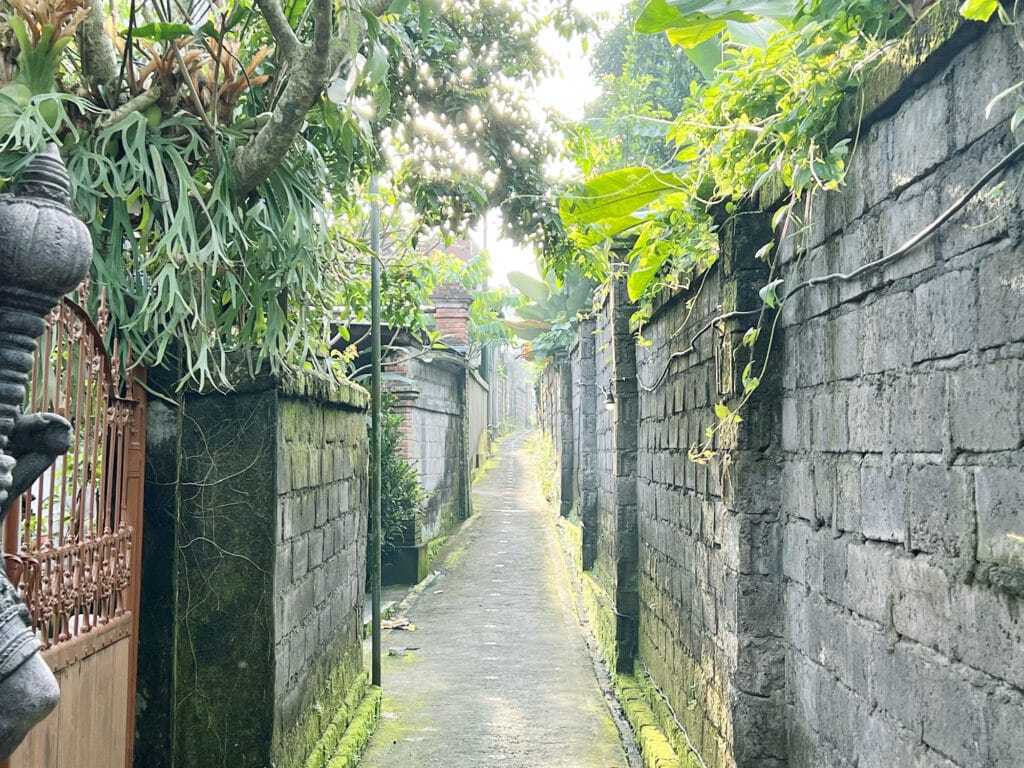 Zurück in Bali – Ubud & Yoga Barn