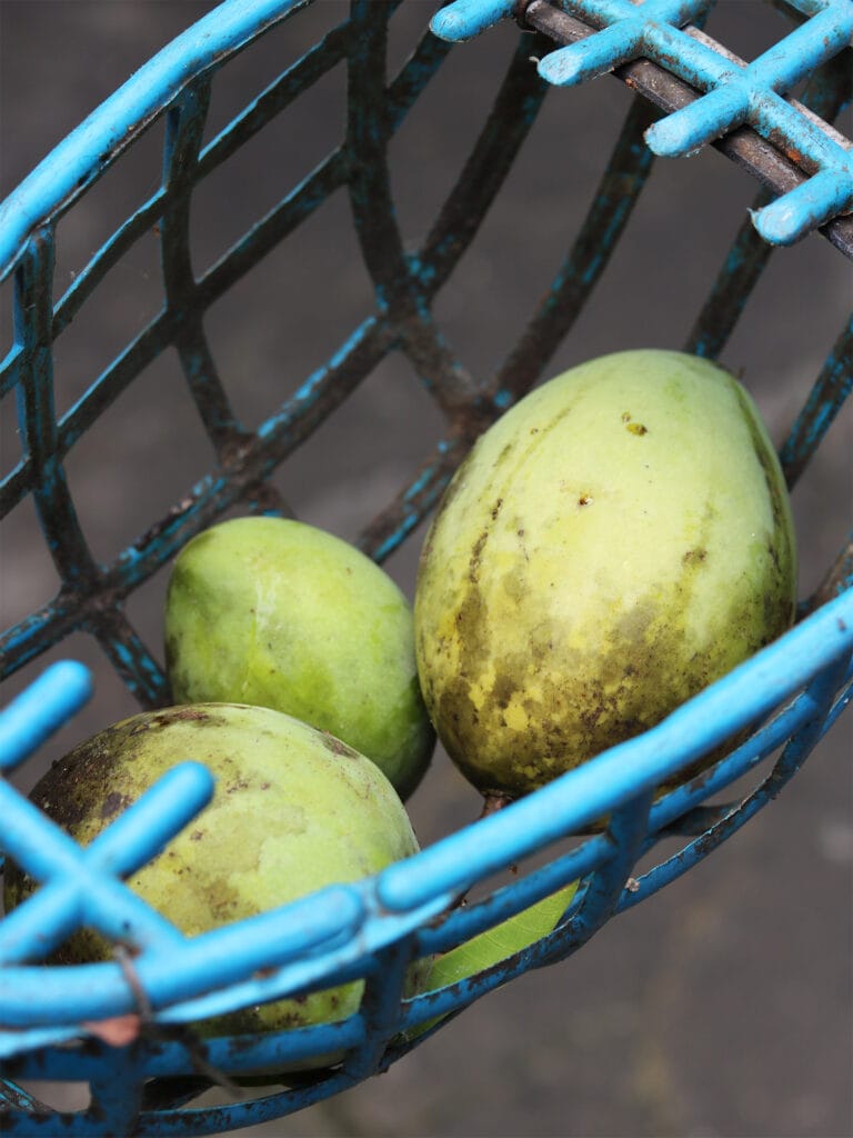 Rezept: Kambodschanischer Mangosalat mit Gebratenem Fisch