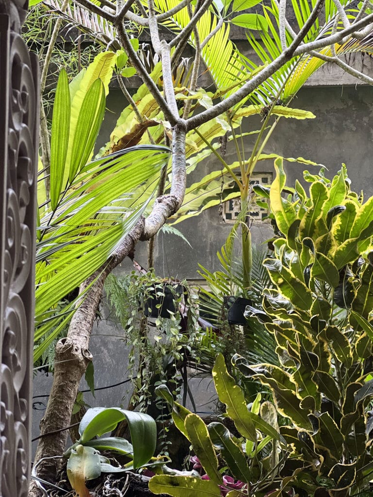 Ubud: Praety Homestay – Gemütliches Gästehaus mit leckerem Frühstück