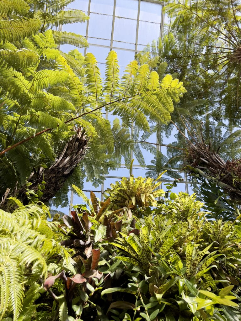 New York Botanical Garden: The Orchid Show – Florals in Fashion