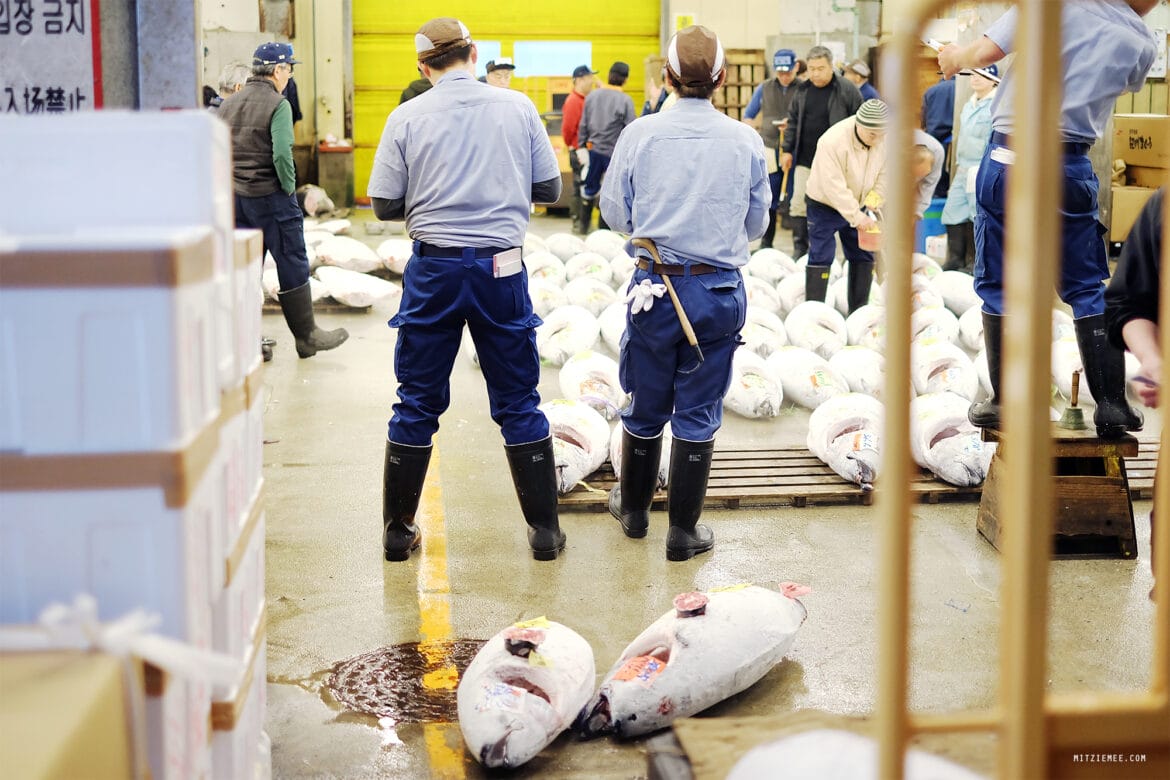 Tokio: Die Thunfischauktion auf dem Tsukiji-Fischmarkt – Mein letzter Besuch