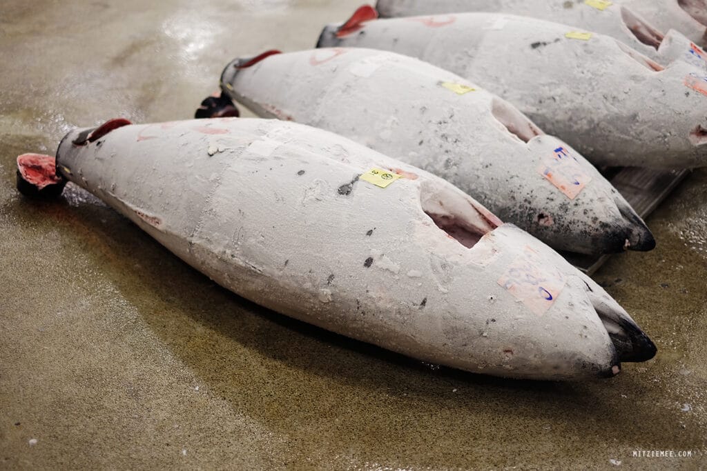 Tokio: Die Thunfischauktion auf dem Tsukiji-Fischmarkt – Mein letzter Besuch