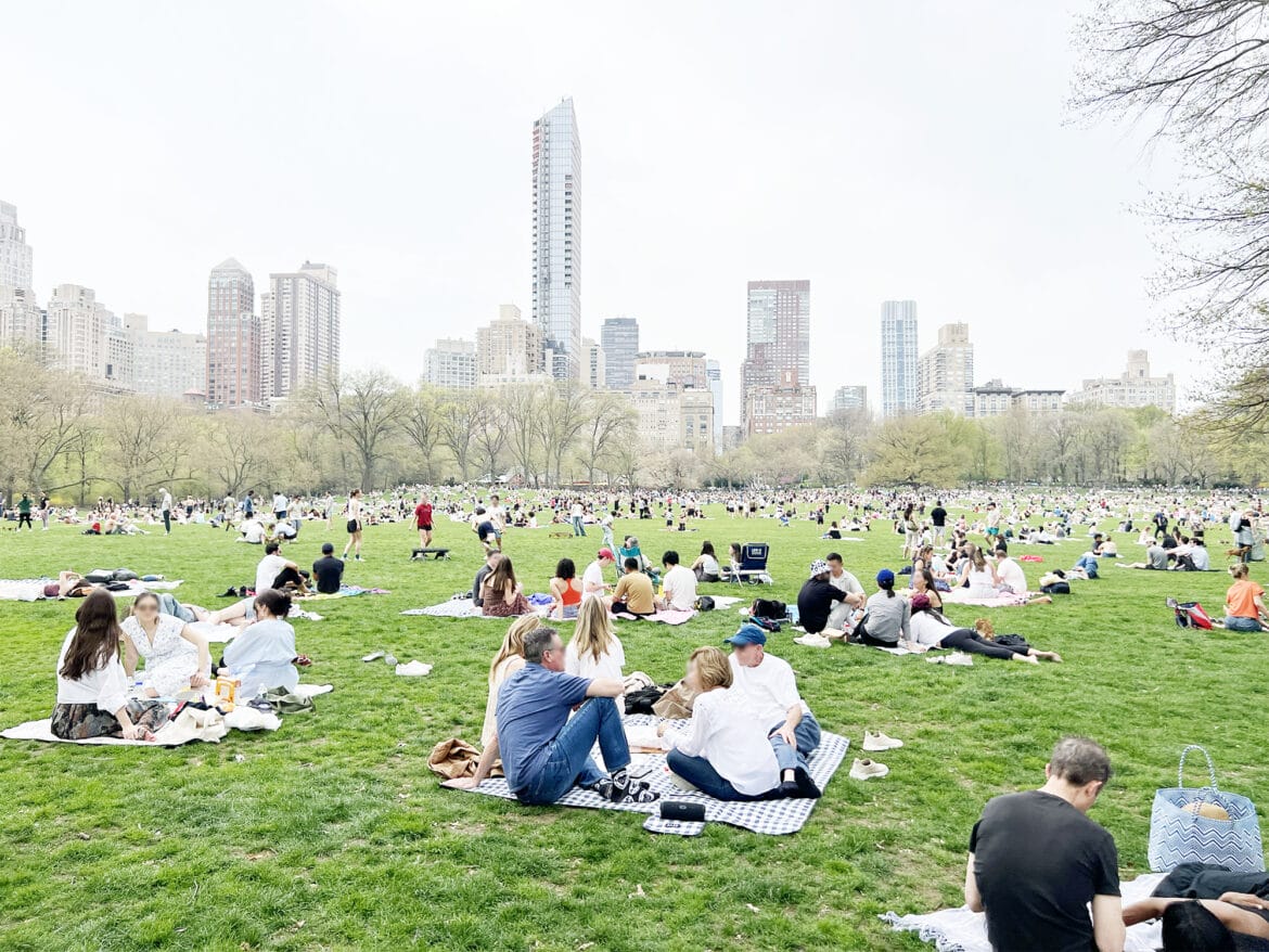 New York Blog: Bagel-Picknick im Central Park