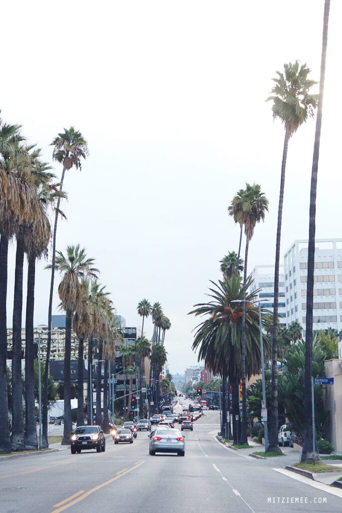 Auto mieten und fahren in Los Angeles: Tipps für deine Reise