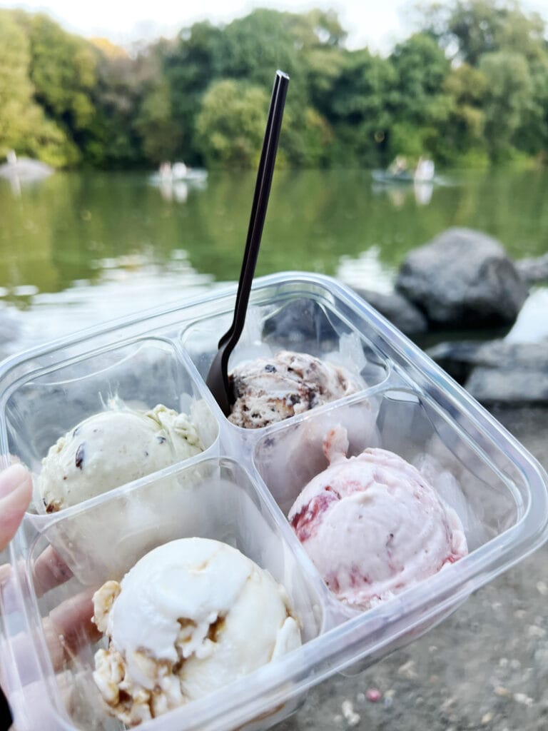 New York Guide – Eis, Softice & Gelato