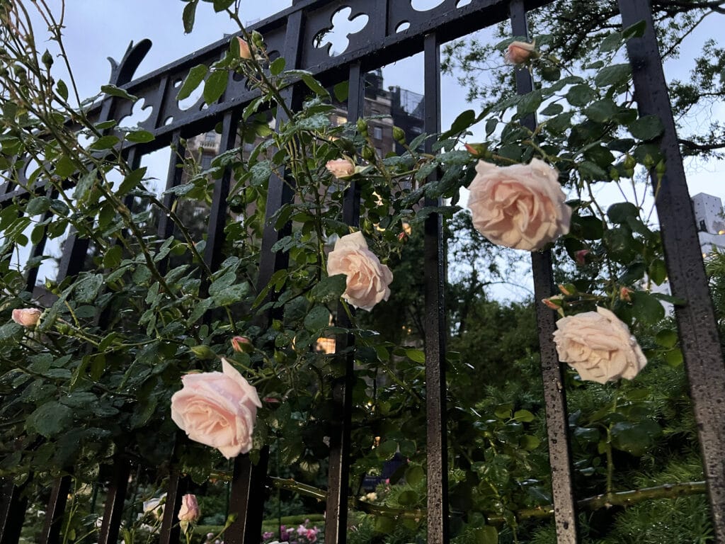 New York: Geistergeschichten in Greenwich Village