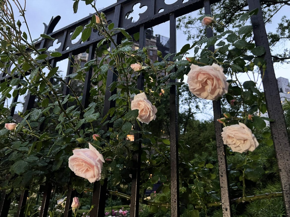 New York: Geistergeschichten in Greenwich Village