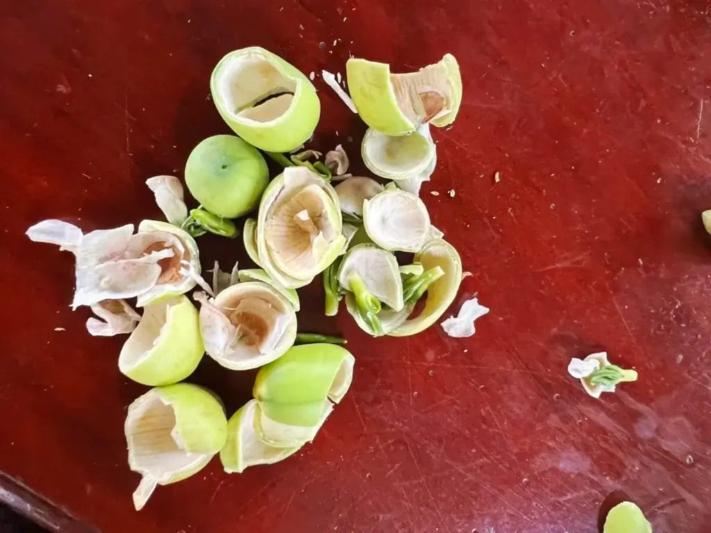 Cambodia: Frische Lotuskerne - Ein leckerer Snack vom Markt