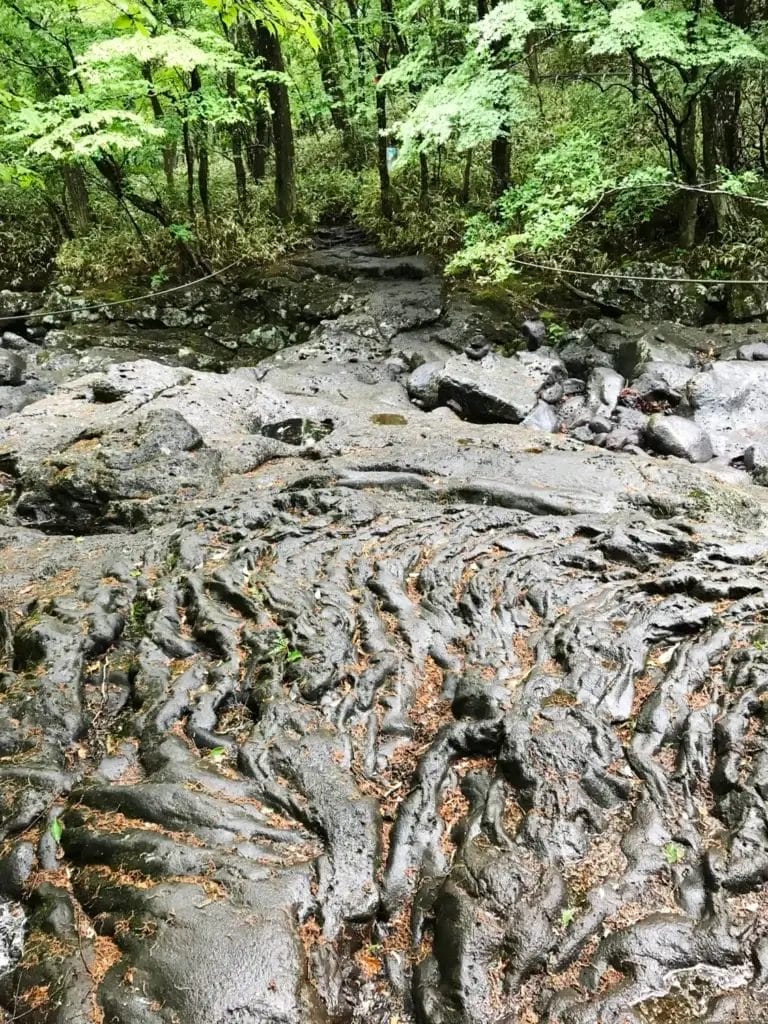 Mein Guide zum Hallasan - Südkoreas höchster Berg